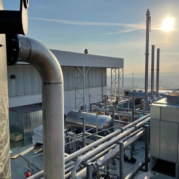 P11 4f0d476c 8fb6 421c b746 34cd7f07dfdd 600x600