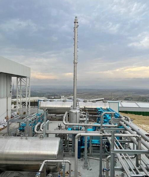 P11 cc83b87a 70ba 48a4 acb8 ec0e5ae6f547 504x600