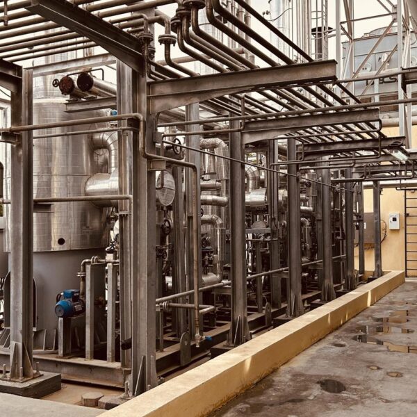 P15 IMG 0389 1 600x600