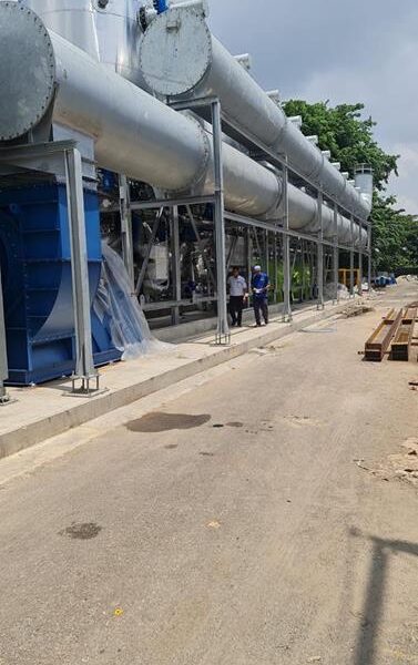 P20  66886129 bbd3 4017 9ef9 894804e4489e 377x600