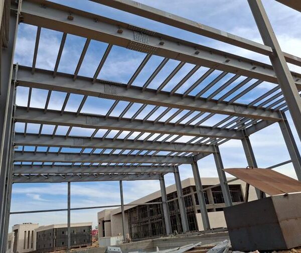 P8  6896ce96 992d 4f35 9482 bd4be9e4f959 1 600x504