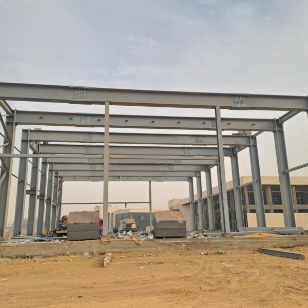 P8  bbd9da5b dac2 4664 97cd 1b9327997358 600x600