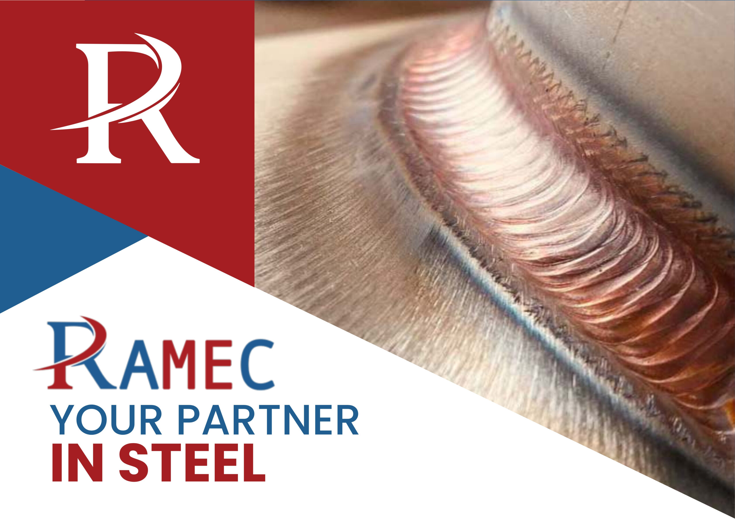 Company profile pdf scaled