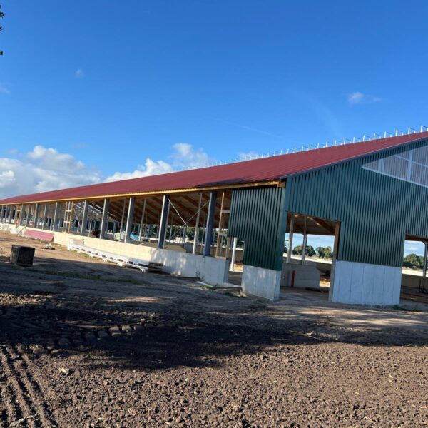 G173 Kuhstall Bremen 4 600x600